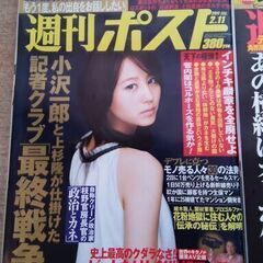 《問合せ無ければ捨てます》【値下げ交渉可＆県南なら運搬可！】週刊ポスト 2011年2月～2013年2月号【10年前のレア雑誌8冊set】の画像