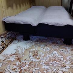 ソファーベッドの画像