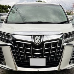 ★トヨタ 30系アルファード後期用　ステンメッキモールセット★