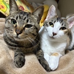 〈急募〉とても甘えん坊な女の子🐈💓
