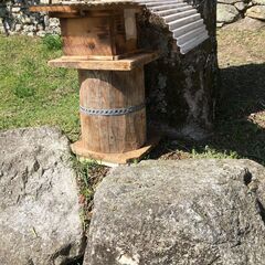 自然入居群 日本ミツバチ 日本蜜蜂 滋賀県大津市より 引き取り限定