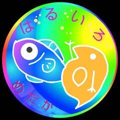 🌷アマテラス🌷メダカフェス関東🐟1セットALL1000円🉐50品種持ち込み🉐の画像