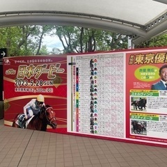 ダービーウィーク！競馬仲間募集です♪