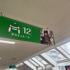 ダービーウィーク！競馬仲間募集です♪ - 杉並区