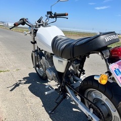 HONDA エイプ100cc の画像