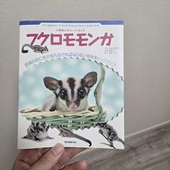 値下げ　フクロモモンガ用品色々