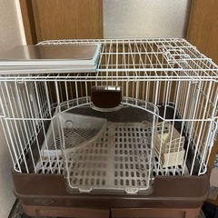 ラビットゲージの画像