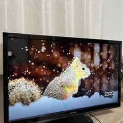家電 テレビ 液晶テレビ