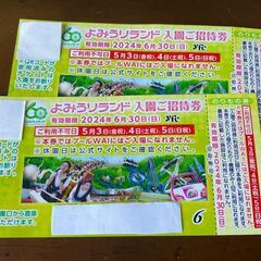 受渡し者決定です ⭐︎ よみうりランド ⭐︎ ２枚セット！