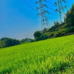平日、休みの合う日にキャッチボールしませんか？