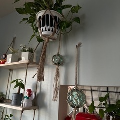 浮き玉インテリアの画像