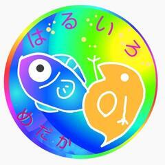 🌷令和サファイア🌷メダカフェス関東🐟1セットALL1000円🉐50品種持ち込み🉐の画像