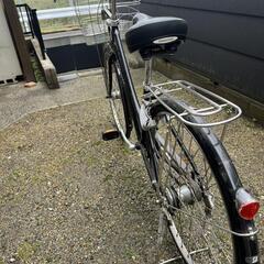 自転車 アルベルトの画像