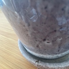 室内 観葉植物_エバーフレッシュの画像