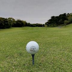 ⛳ラウンドご一緒できる方大募集中(❁ᴗ͈ˬᴗ͈)