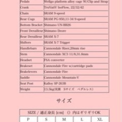 【更に更に値下げ】ジャンク　キャノンデール　F３００　の画像