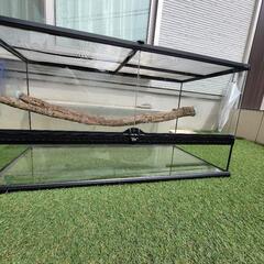 GEX　エキゾテラ　グラステラリウム　9045　爬虫類　飼育　ケ...