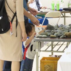 第110回石睦会奉納水石名品展