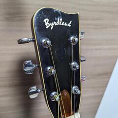 【取引確認中】レア Thumb Birdland GW-200 Gallagher コピー 寺田楽器製 1975年製
の画像