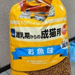コメリ Ｐｅｔａｍｉ　猫貴族　成猫　お徳用　１２ｋｇ オリゴ糖配...