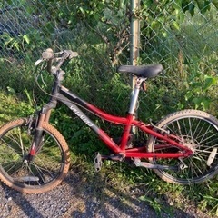 自転車 クロスバイクの画像