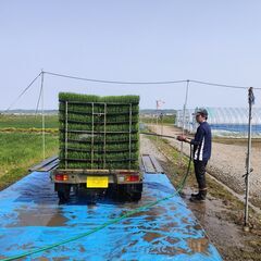 【急募！】【日払い可能！】5月23日～25日に旭川市近郊で田植え...
