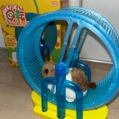 くるくる回転ハムスターの画像