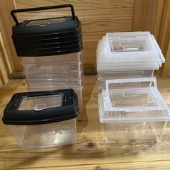 受け渡し済み　虫かご