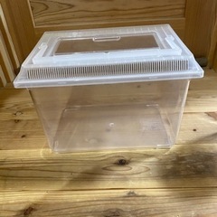 取引中　虫かご