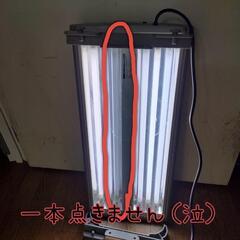【水槽関連】60cm水槽用ライトの画像