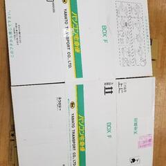 パソコン宅急便　ダンボール箱　BOX F