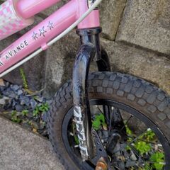 ストライダーの画像