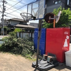 スポーツ バスケットボール