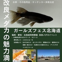改良メダカガールズフェス北海道 - 北広島市