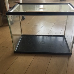 水槽　5月22日処分予定