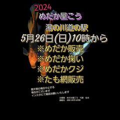 【めだか屋こう】　めだか販売　めだか掬い　たも網販売等