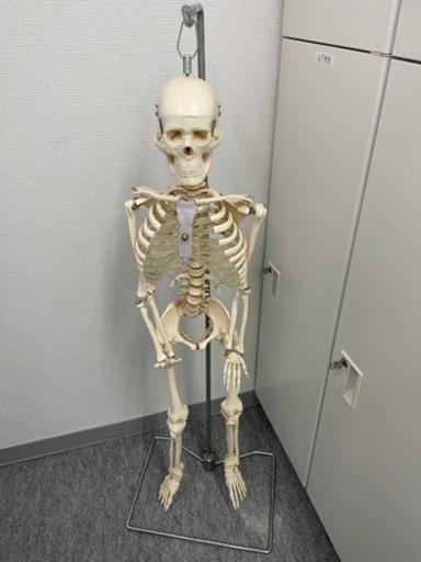 模型取り引き中