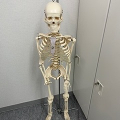 模型取り引き中