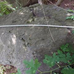 生活雑貨 家庭用品 ガーデニングの画像