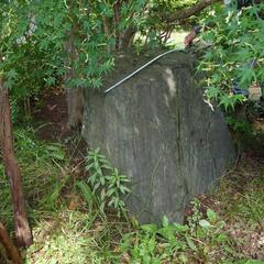 生活雑貨 家庭用品 ガーデニングの画像