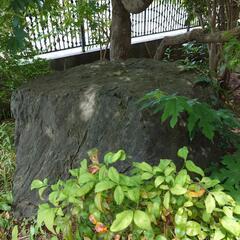 生活雑貨 家庭用品 ガーデニング