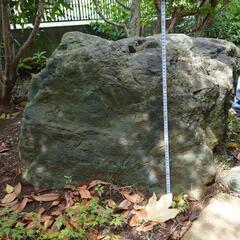 生活雑貨 家庭用品 ガーデニングの画像