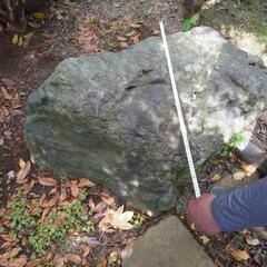 生活雑貨 家庭用品 ガーデニングの画像