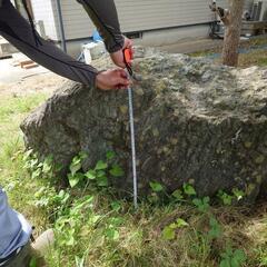 生活雑貨 洗濯用品 物干し竿、ロープの画像