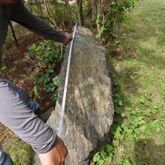 生活雑貨 洗濯用品 物干し竿、ロープ