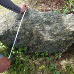 生活雑貨 洗濯用品 物干し竿、ロープの画像