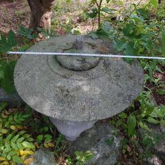 生活雑貨 家庭用品 ガーデニング