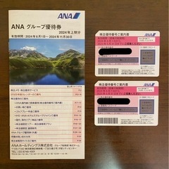 ANA グループ優待券 2枚