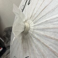 撮影用 和傘の画像