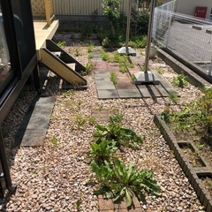 草刈り、草むしり